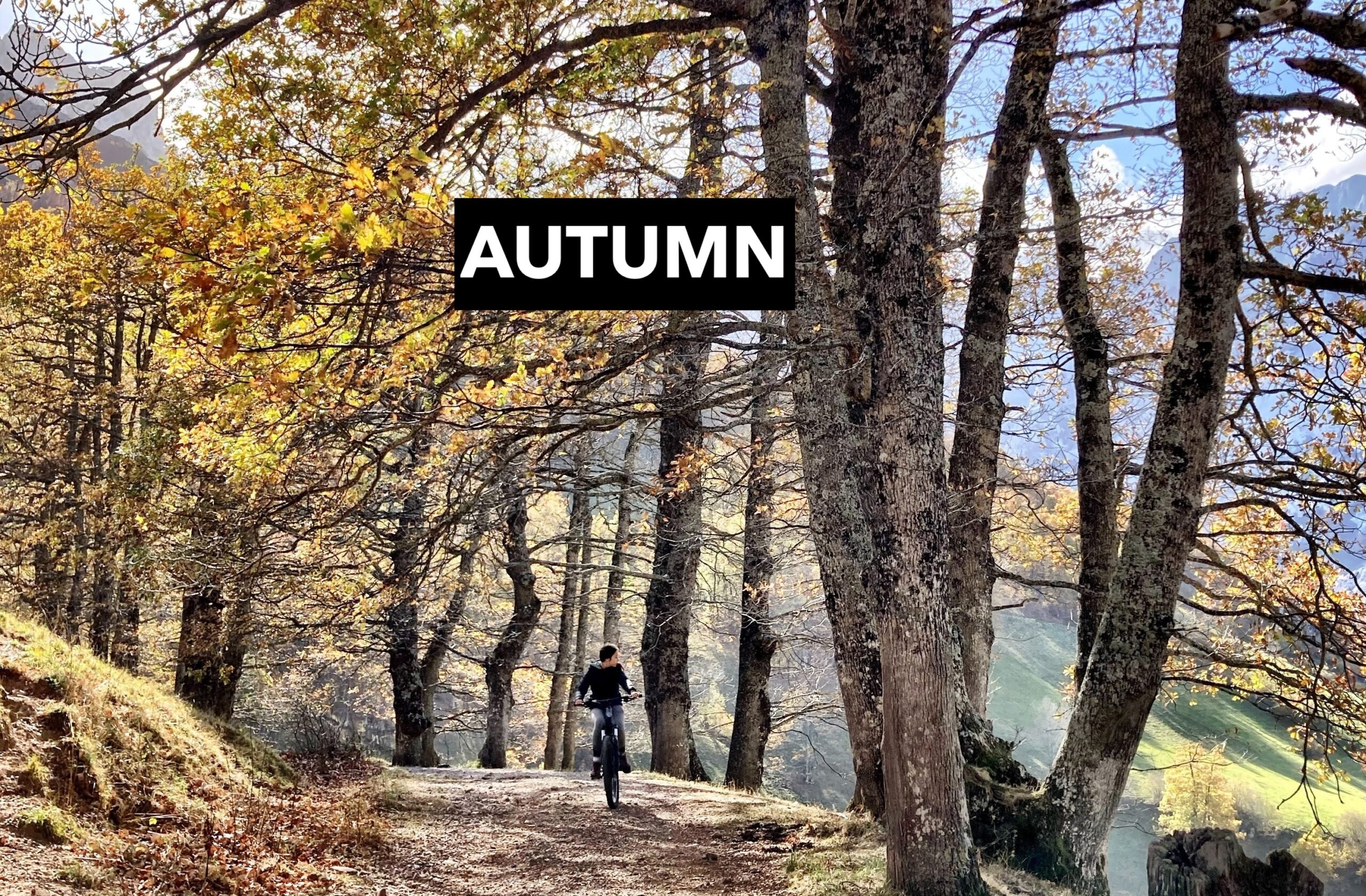 AUTUMN IN SOTRES | Magical Landscapes in the Picos de Europa Autumn transforms Sotres into a spectacle of colour, light, and silence